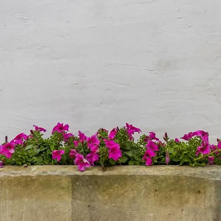 Luce Boutique 3* Felline