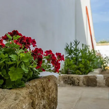 Luce Boutique Felline