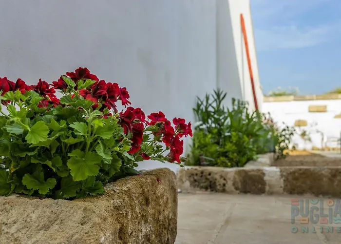 Luce Boutique Felline